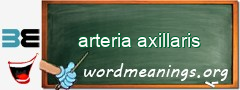 WordMeaning blackboard for arteria axillaris